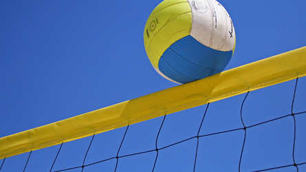 Young Adults Summer Sand Volleyball