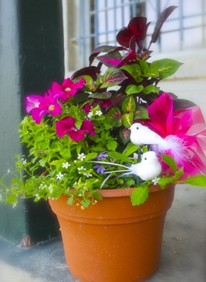img_garden-min_flower-pots.jpg