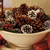 N7 Holiday Cones ($12)