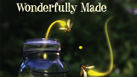 Wonderfully Made