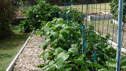 Garden Work Days