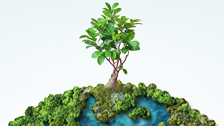 Creation Care Sunday School