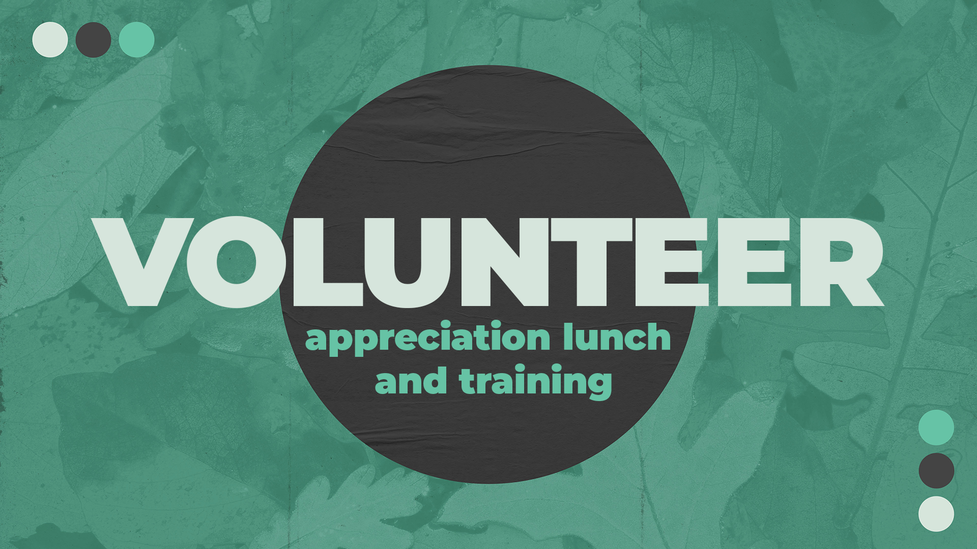 Volunteer Appreciation and Training